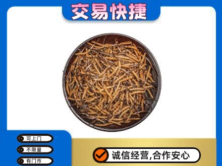 玉树回收散虫草